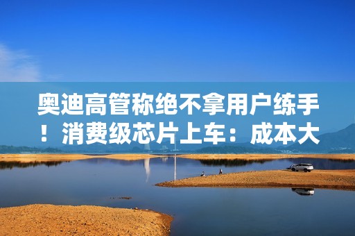 奥迪高管称绝不拿用户练手！消费级芯片上车：成本大降 无强制安全认证要求