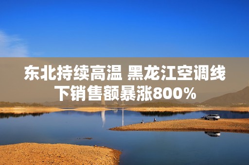 东北持续高温 黑龙江空调线下销售额暴涨800%