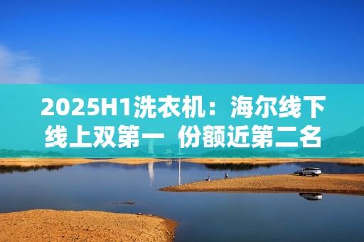 2025H1洗衣机：海尔线下线上双第一  份额近第二名两倍