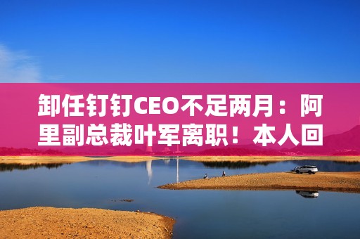 卸任钉钉CEO不足两月：阿里副总裁叶军离职！本人回应
