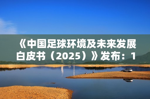 《中国足球环境及未来发展白皮书（2025）》发布：100吋大屏电视成标配