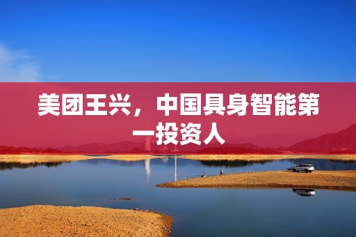 美团王兴，中国具身智能第一投资人