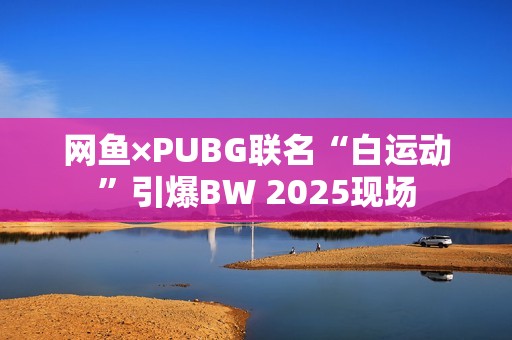 网鱼×PUBG联名“白运动”引爆BW 2025现场