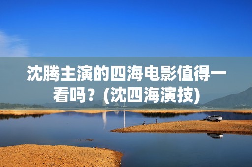 沈腾主演的四海电影值得一看吗？(沈四海演技)