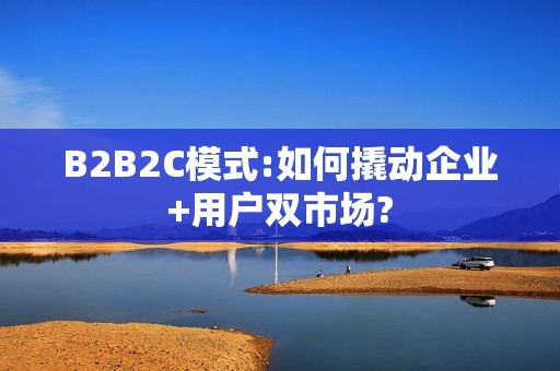 B2B2C模式:如何撬动企业+用户双市场?