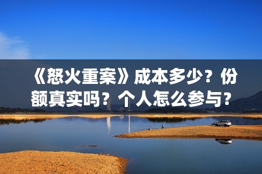 《怒火重案》成本多少？份额真实吗？个人怎么参与？(怒火重案的含义)