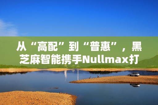 从“高配”到“普惠”，黑芝麻智能携手Nullmax打造辅助驾驶主流量产方案
