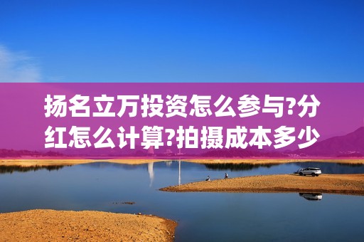 扬名立万投资怎么参与?分红怎么计算?拍摄成本多少?(扬名立万海报)