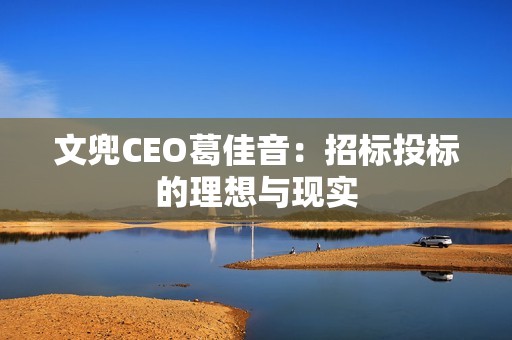 文兜CEO葛佳音：招标投标的理想与现实