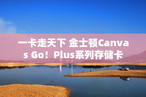 一卡走天下 金士顿Canvas Go！Plus系列存储卡