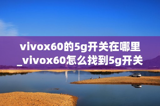 vivox60的5g开关在哪里_vivox60怎么找到5g开关
