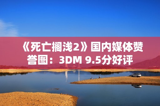 《死亡搁浅2》国内媒体赞誉图：3DM 9.5分好评