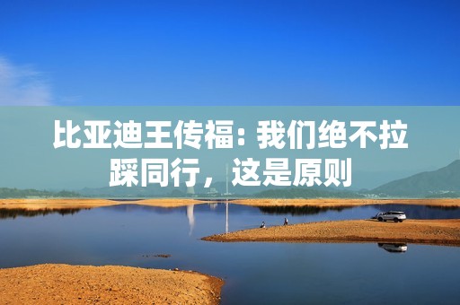 比亚迪王传福: 我们绝不拉踩同行，这是原则