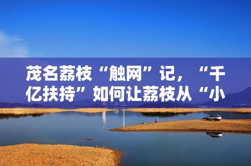 茂名荔枝“触网”记，“千亿扶持”如何让荔枝从“小特产”到“大生意”