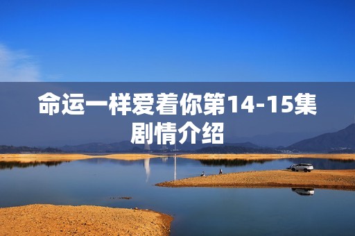 命运一样爱着你第14-15集剧情介绍