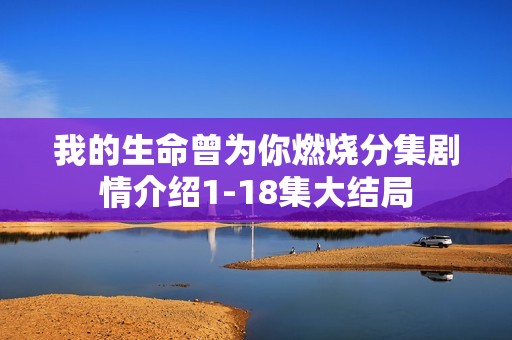 我的生命曾为你燃烧分集剧情介绍1-18集大结局