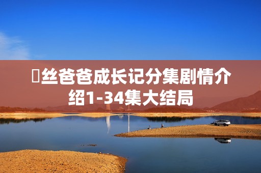 屌丝爸爸成长记分集剧情介绍1-34集大结局