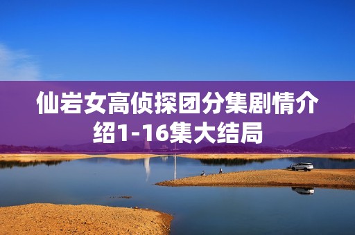 仙岩女高侦探团分集剧情介绍1-16集大结局