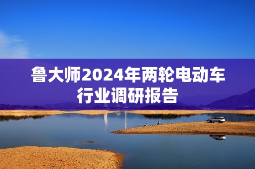 鲁大师2024年两轮电动车行业调研报告