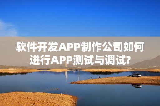 软件开发APP制作公司如何进行APP测试与调试?