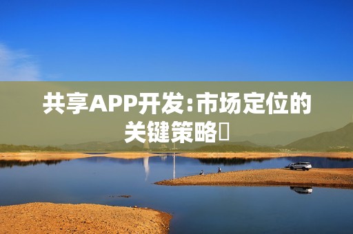 共享APP开发:市场定位的关键策略‌