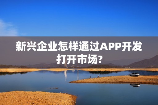 新兴企业怎样通过APP开发打开市场?
