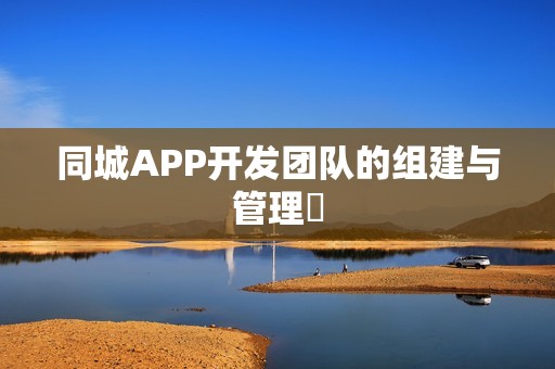 同城APP开发团队的组建与管理‌