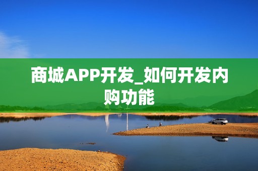 商城APP开发_如何开发内购功能