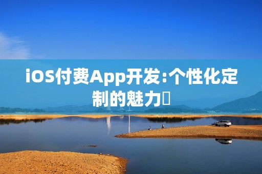 iOS付费App开发:个性化定制的魅力‌