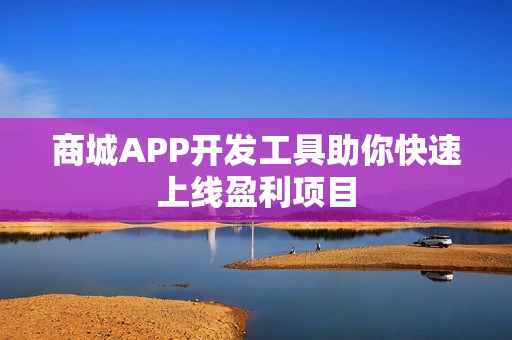 商城APP开发工具助你快速上线盈利项目