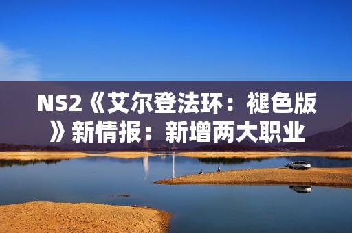 NS2《艾尔登法环：褪色版》新情报：新增两大职业
