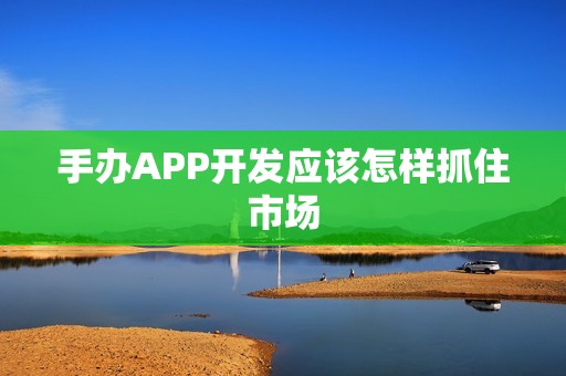 手办APP开发应该怎样抓住市场