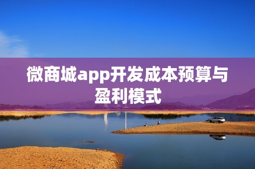 微商城app开发成本预算与盈利模式