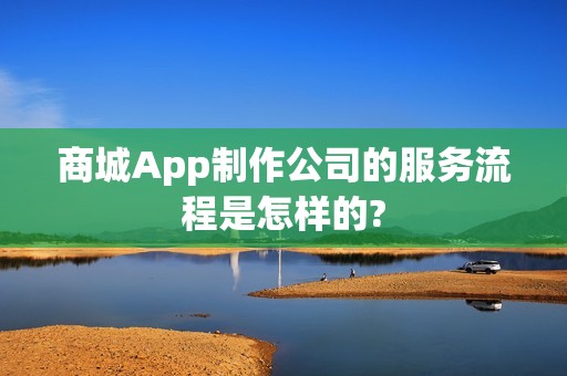 商城App制作公司的服务流程是怎样的?