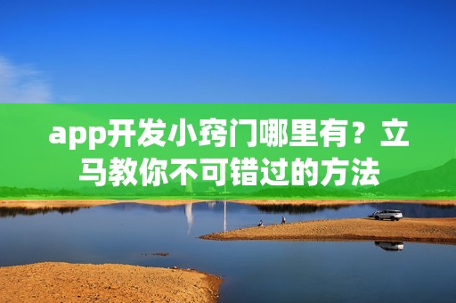 app开发小窍门哪里有？立马教你不可错过的方法