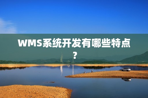 WMS系统开发有哪些特点？