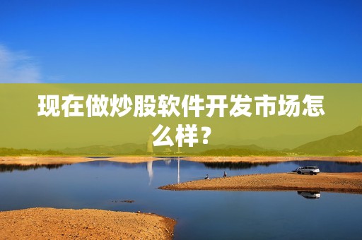 现在做炒股软件开发市场怎么样？