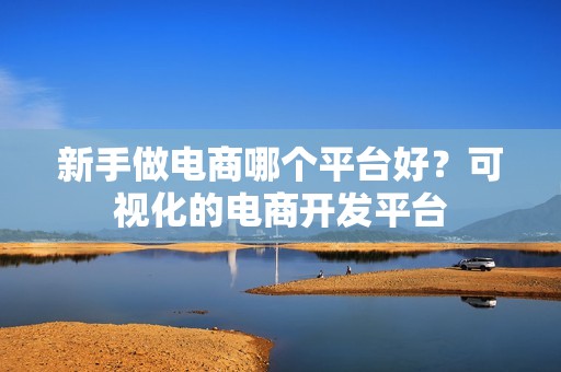 新手做电商哪个平台好？可视化的电商开发平台
