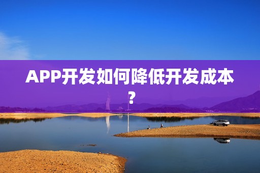 APP开发如何降低开发成本？