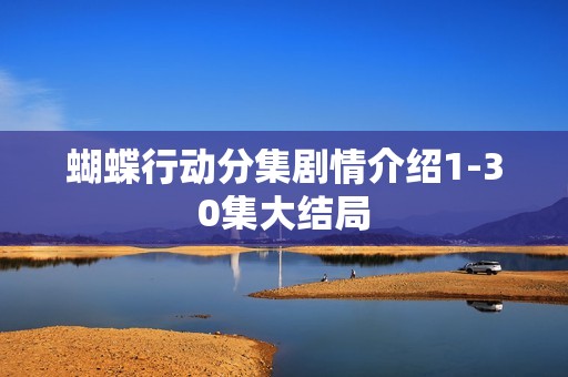 蝴蝶行动分集剧情介绍1-30集大结局