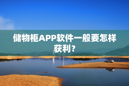 储物柜APP软件一般要怎样获利？