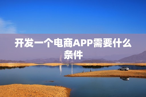 开发一个电商APP需要什么条件