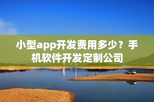 小型app开发费用多少？手机软件开发定制公司