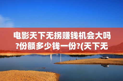 电影天下无拐赚钱机会大吗?份额多少钱一份?(天下无拐我要看这部电影)
