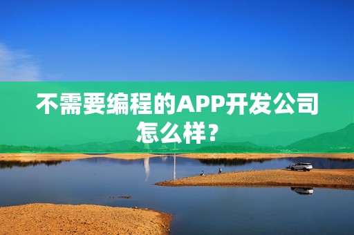 不需要编程的APP开发公司怎么样？