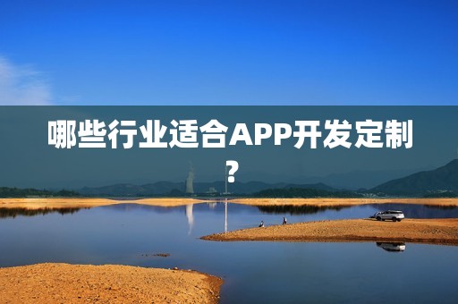 哪些行业适合APP开发定制？