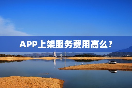 APP上架服务费用高么？