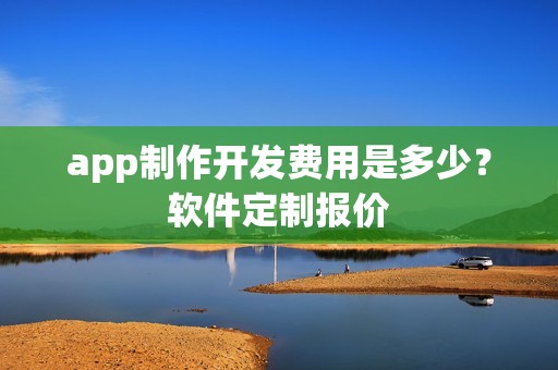 app制作开发费用是多少？软件定制报价