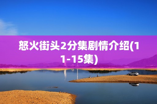 怒火街头2分集剧情介绍(11-15集)