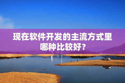 现在软件开发的主流方式里哪种比较好？